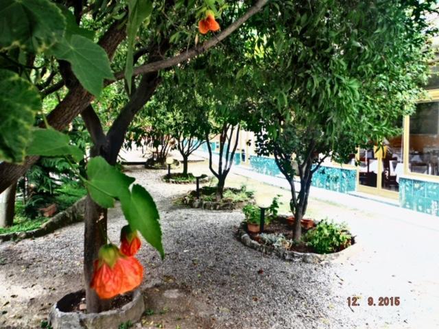 בוליאסקו Hotel Villa Flora מראה חיצוני תמונה